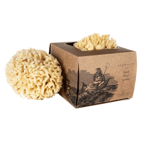 Bath Sea Sponge - Image 6