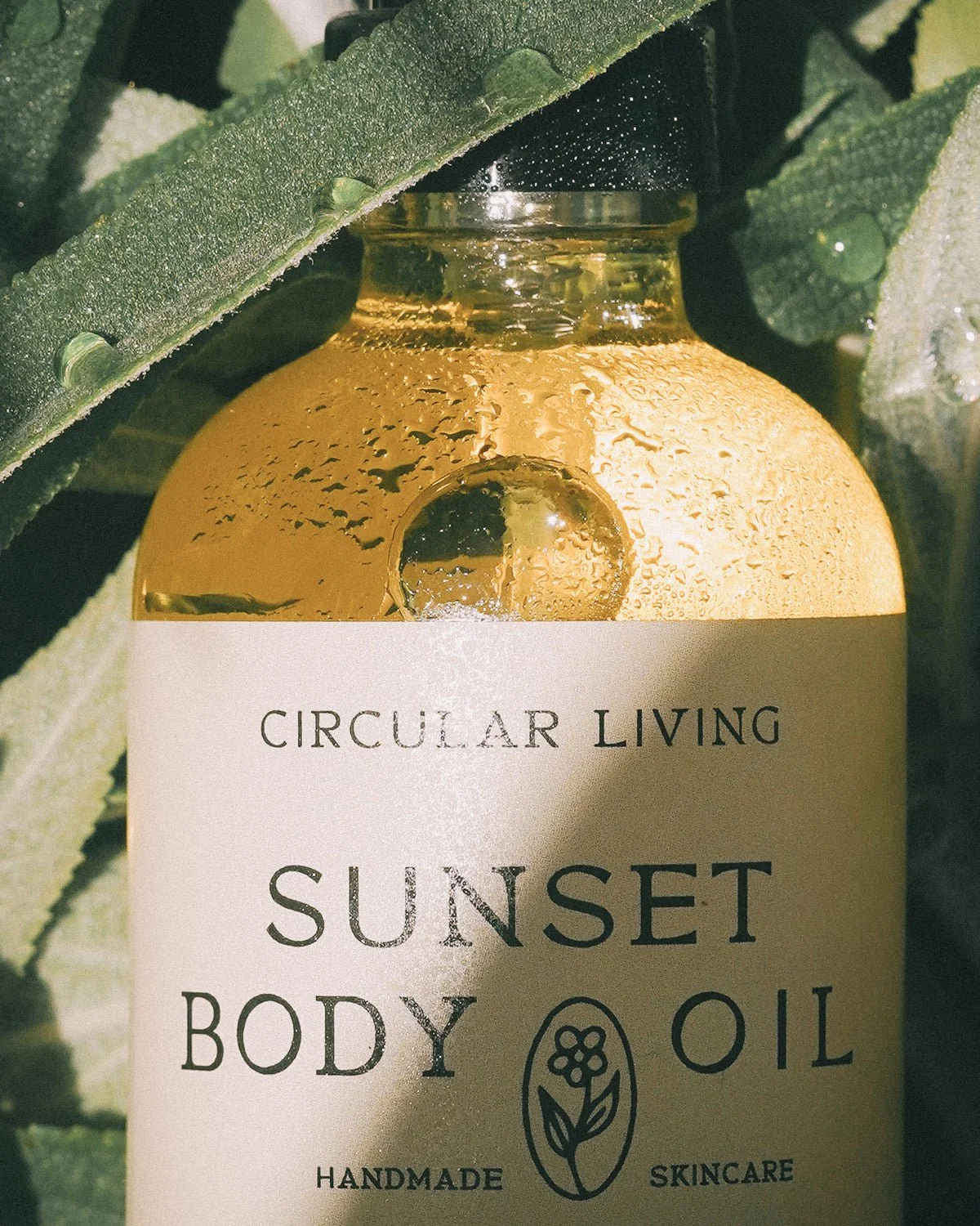 Sunset Body Oil | Clary Sage & Vetiver - Image 5