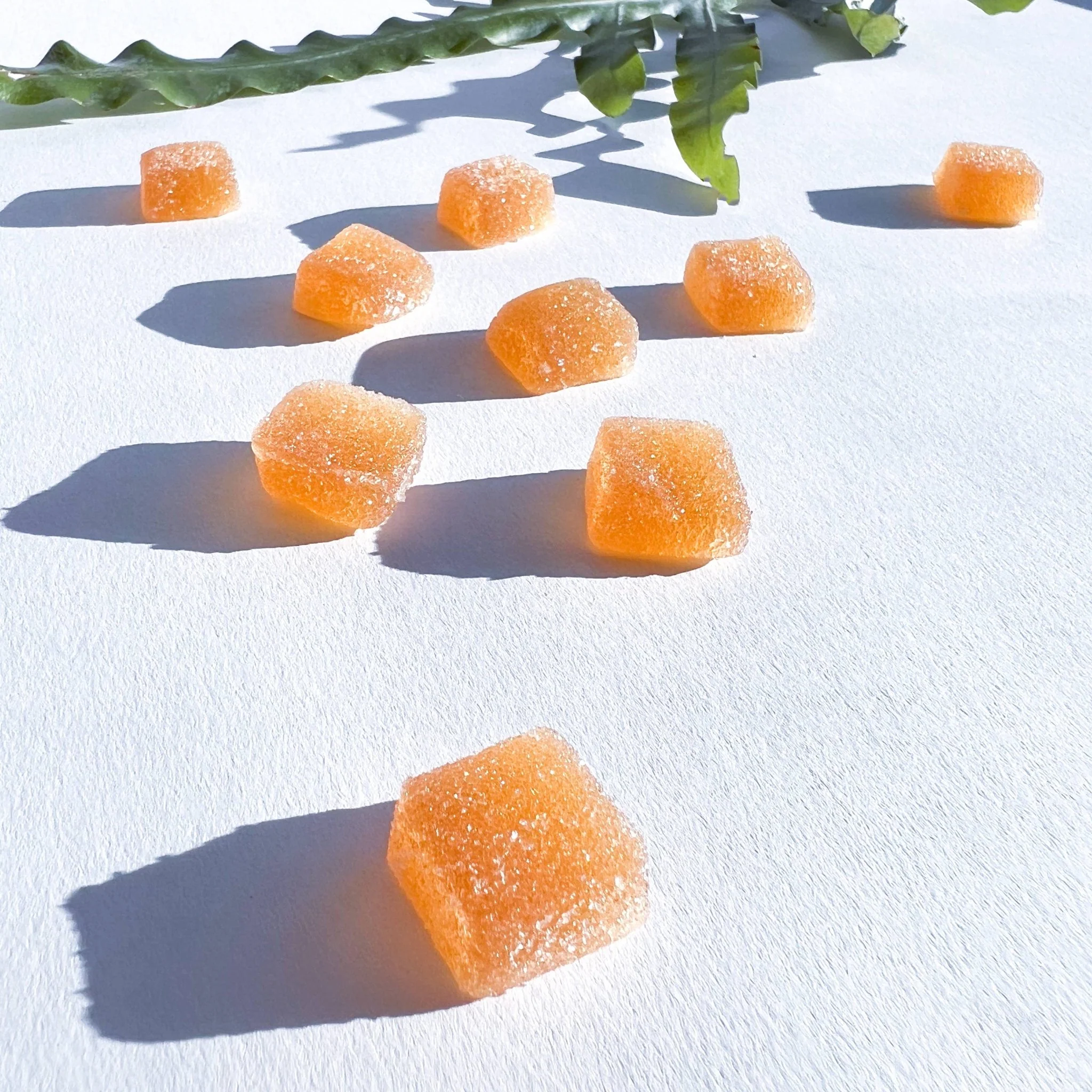 Concentrate Mushroom Gummies - Image 2