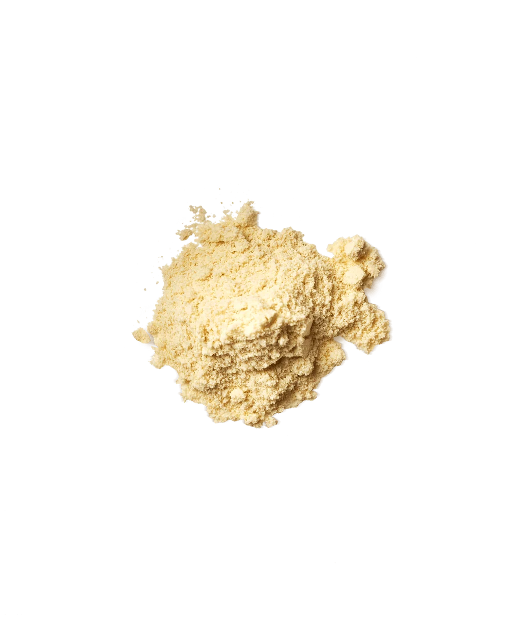 Whey Protein Powder | Madagascar Vanilla - Image 2
