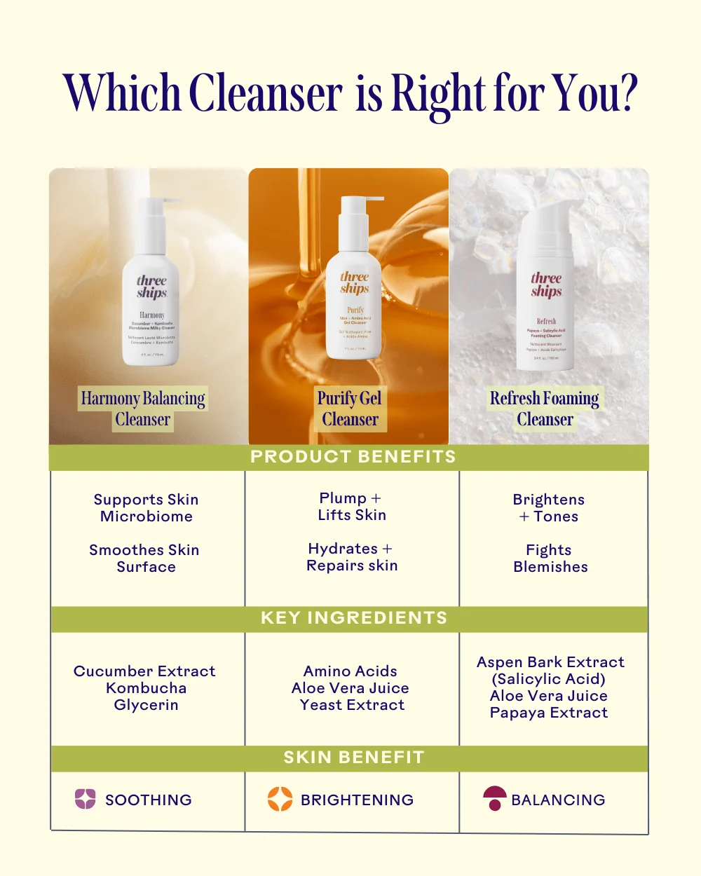 Purify Aloe & Amino Acid Cleanser - Image 7
