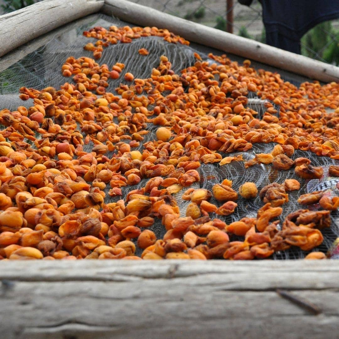 Organic Blue Tansy + Apricot Oil - Image 15