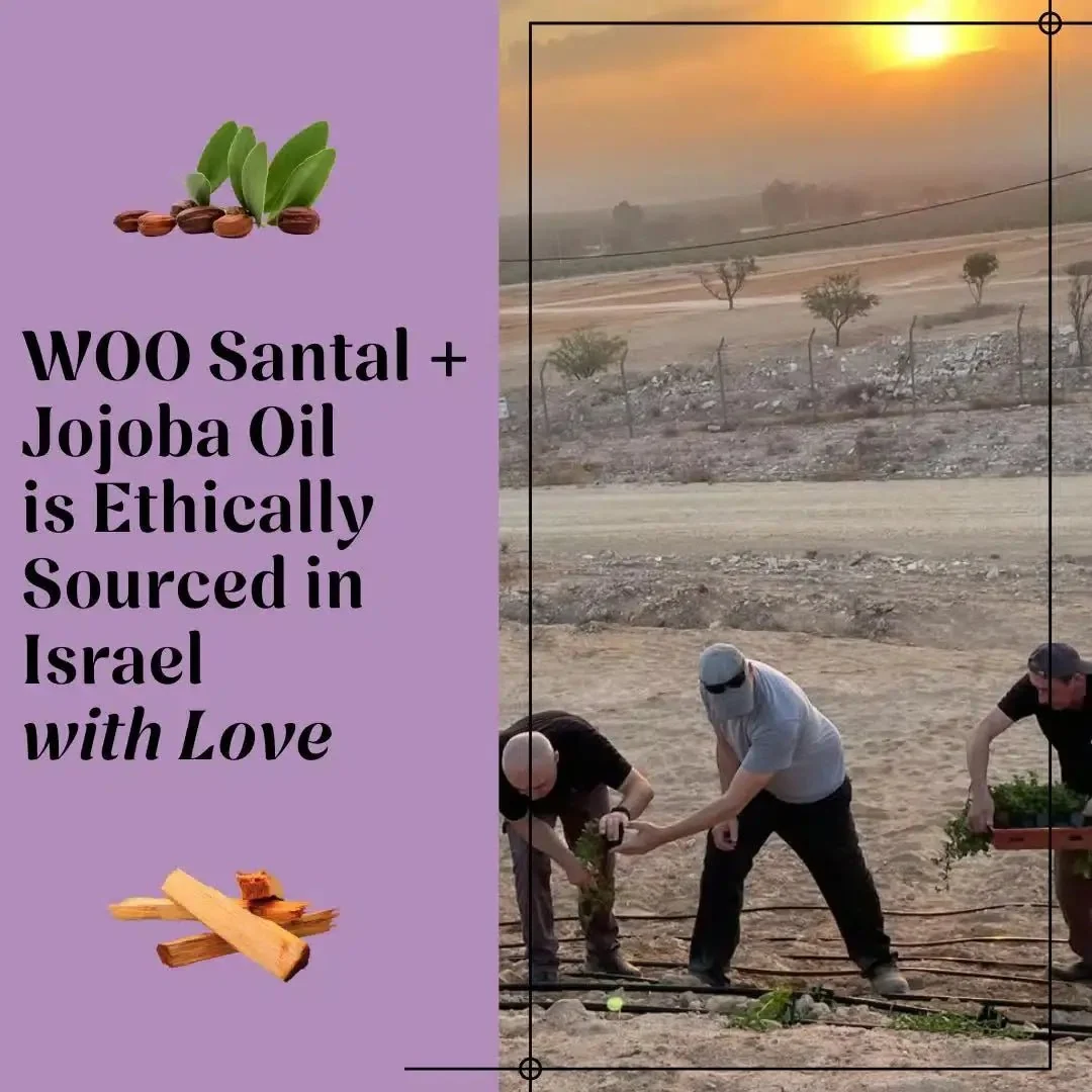 Organic Santal + Jojoba Oil - Image 8